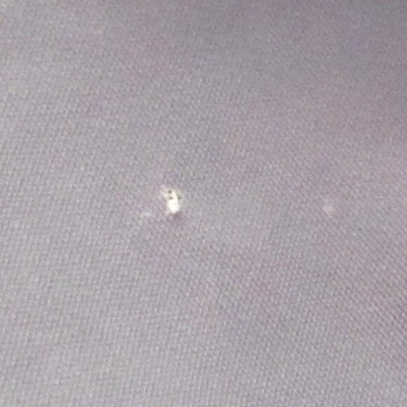 Walt Disney World Parks Backpack Mickey Mouse, Black, Adjustable Straps - Picture 16 of 16